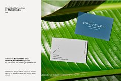 9款文艺自然绿叶植物光影名片卡片设计ps样机素材户外展示效果图模板