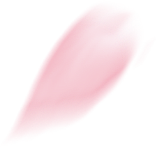 ★韩]==]C采集到花瓣