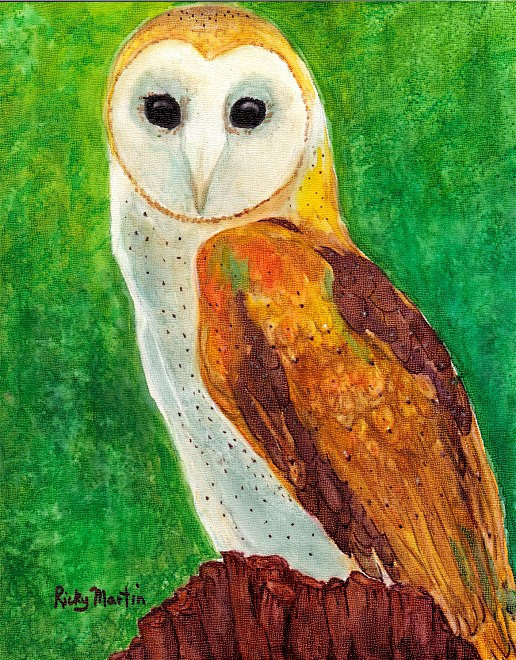 Barn Owl, Illustrati...