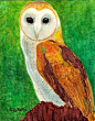Barn Owl, Illustration, Nursery,  FREE SHIPPING -  Fine Art Giclee  Print from my original Watercolor Painting - ebsq Artist Ricky Martin
