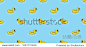 duck seamless pattern swimming ring pool isolated wallpaper