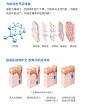 丽普司肽egf冻干粉寡肽原液修复去淡化祛痘印痘坑正品收缩毛孔-tmall.com天猫