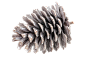 shutterstock_747937510