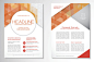 Vector Brochure Flyer design Layout template