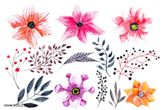 蓝银耳采集到花-png