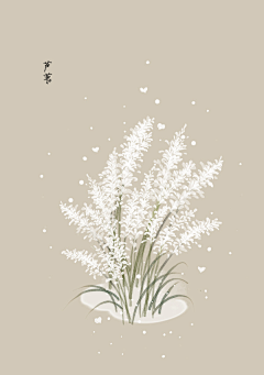 弞非采集到花卉插画