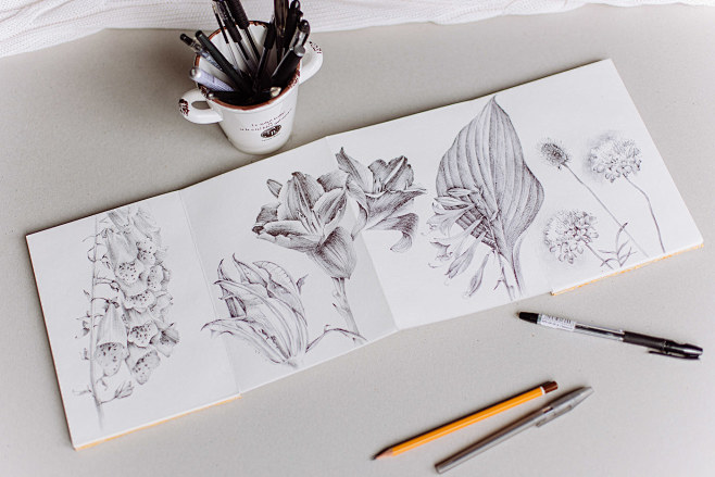 Botanical sketchbook...