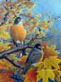 "Pair of Robins" by Robert Wavra