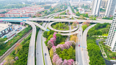 一只红鲸鱼-采集到道路景观/沥青路