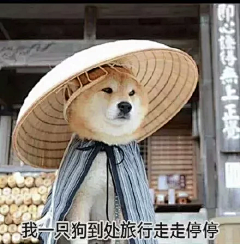 头炸的牛泽泽采集到表情包