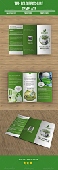Green Company Brochure - Corporate Brochures
