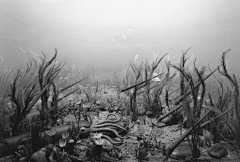 SolaSisyphe采集到Hiroshi Sugimoto