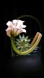 Unusual and modern calla lily and succulent flower arrangement - OVANDO <a class="pintag searchlink" data-query="%23callalily" data-type="hashtag" href="/search/?q=%23callalily&rs=hashtag" rel="nofollow&