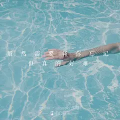 bigbang《IF YOU》虽然需要将你忘记 但真的好难（权志龙GD top 大声（成） 胜利 太阳 歌词 壁纸 韩流 文字 锁屏 原创 键盘 语录 短句 ）