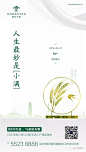 知识星球：地产资源库