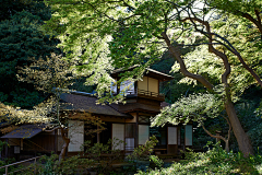不笑的恶猫采集到古建