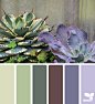 { succulent hues } image via: @swgardens