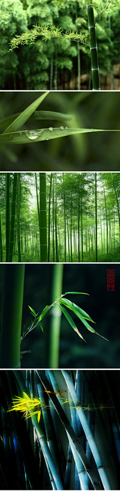 嘘xu~采集到photo.green