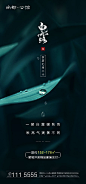 【源文件下载】 海报 房地产 二十四节气 白露 露珠 水珠 38203
