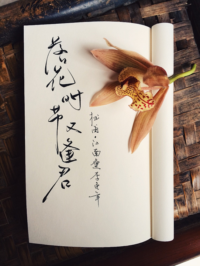 手写菊花体。(●—●)​ 」 -零雨其蒙...