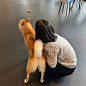 Photo shared by 이효선 on September 16, 2022 tagging @poloralphlauren. May be an image of 1 person, dog and indoor.