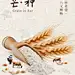 芒种节气祝福合成手机海报