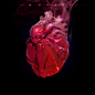 he+art~~~heart