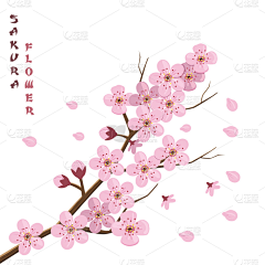 274调采集到花