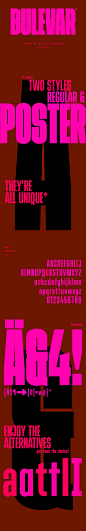 保加利亚字体时尚杂志大字报字体设计-1.jpg