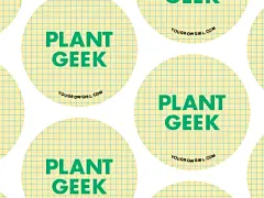 A much simpler button idea with a touch of Wes Anderson futura love.#green#,#futura#,#geek#,#graph#