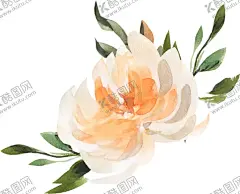 橘黄色阳光花卉贺卡婚礼装饰图案 【酷图网】花朵,叶子,植物,碎花,招贴,请柬,婚礼,婚庆,活动,展板,海报,窗帘,被罩,床单,桌布,布料,透明,png,格式,花型,手绘,水彩,玫瑰,花卉,花环,卡片,装饰,元素,免抠,素材,贺卡,