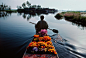 dal lake, srinagar, kashmir