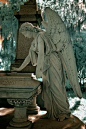 Cemetery Angel