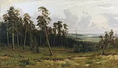 【美術世界】著名风景画家希施金(Ivan Ivanovich Shishkin)绘画作品(1)[36P] -  NO.1画室 - .