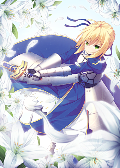 炫xuan采集到saber