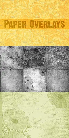 复古礼品花卉纸张图案叠层 Paper Overlays