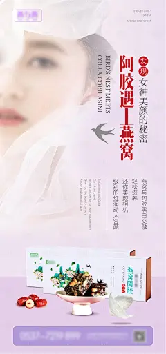 燕窝宣传海报-采灵感-cailinggan.com