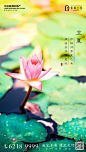 地产海报 | 节气立夏海报版式设计【排版】