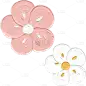 75636-花朵PNG.png