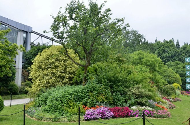 组团式植物景观