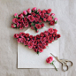#花#<a class="text-meta meta-mention" href="/yiyu/">@艺鱼视觉</a>