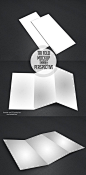 Free PSD Free Tri-Fold Mockup