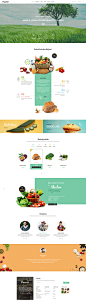 Organici - Organic Store WordPress Theme : Organici is the premium PSD template for Organic Food Shop. Built especially for any kind of organic store: Food, Farm, Cafe…, Organici brings in the fresh interface with natural and healthy style. The template i