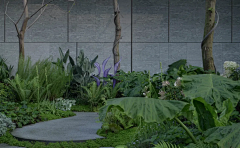 干邑白兰地采集到· Landscape ︱植物