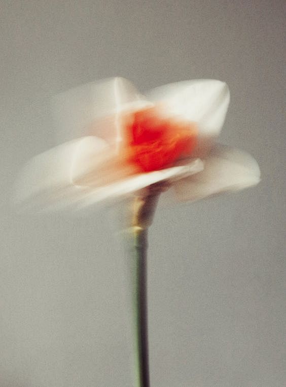 (107) Pinterest