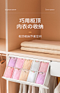 佳帮手内衣收纳盒抽屉式家用内裤袜子悬挂收纳衣柜壁挂分隔整理盒-tmall.com天猫