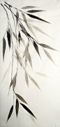 Bamboo leaves on white. Pen & Ink drawing. Valeria Viscardi - Bamboe tak