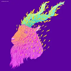 Jen Bartel 梦幻般的猫咪插画 韩国 超现实主义 色彩构成 色彩 肖像插画 矢量插画 梦 手绘 彩虹 宇宙 喵星人 动物 