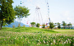 DAISIKIL采集到女装背景