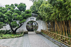 嗯嗯1235采集到铺装